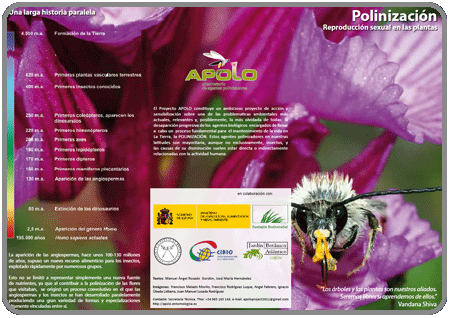 La polinización, reproducción sexual en las plantas (Nivel 2, adultos) PDF 0,7Mb