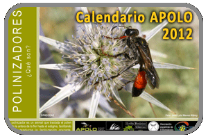 Calendario APOLO 2012