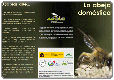 La abeja doméstica (Nivel 1, infantil) PDF 1,6Mb