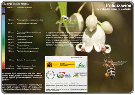 La polinización, reproducción sexual en las plantas (Nivel 1, infantil) PDF 0,8Mb