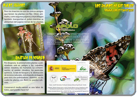 Los amigos de las flores: polinizadores silvestres (Tríptico. Nivel 1, infantil) PDF 0,4Mb